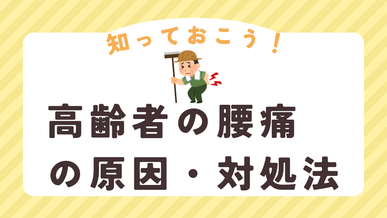 高齢者の腰痛の原因・対処法